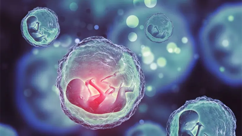 Desaparecen cientos de embriones tras el cierre de una clínica de fertilidad