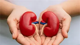 Mayo Clinic aclara 5 mitos comunes sobre la donación de riñón en vida