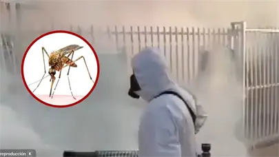 Plaga de mosquitos afecta barrios y dispara las alarmas por dengue