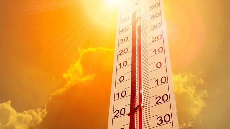La OMS advierte que las olas de calor causan 540.000 muertes anuales en el mundo
