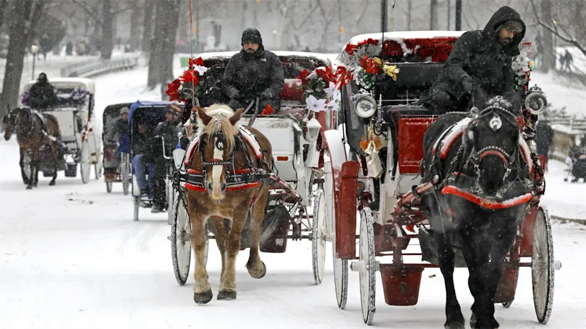 Nueva York tumba un proyecto de ley para vetar los carruajes con caballos
