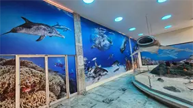 Museo Nacional de Historia Natural presenta mural e inaugura exposición fotográfica Fotomar