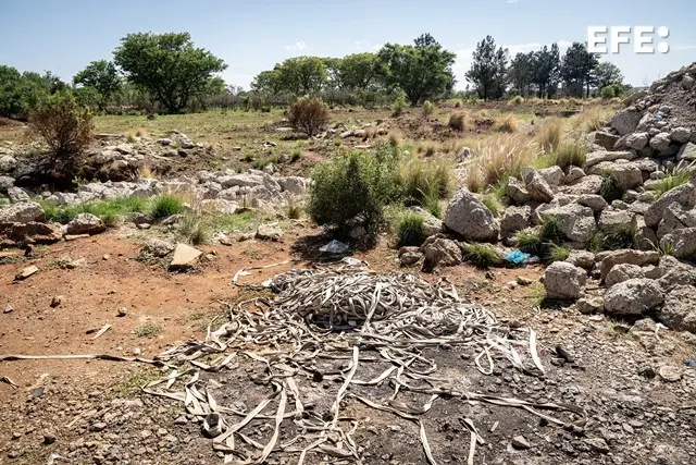 Colapso de puente improvisado en mina de Kalando deja al menos 32 mineros muertos en RDC