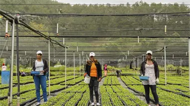 Sur Futuro celebra 24 años y anuncia el regreso del Premio Ecológico a la Siembra de Agua