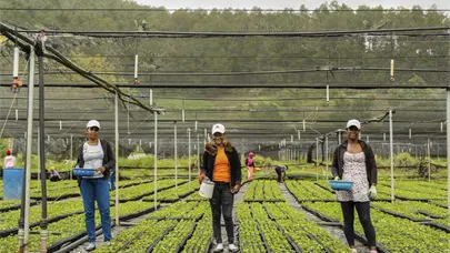 Sur Futuro celebra 24 años y anuncia el regreso del Premio Ecológico a la Siembra de Agua