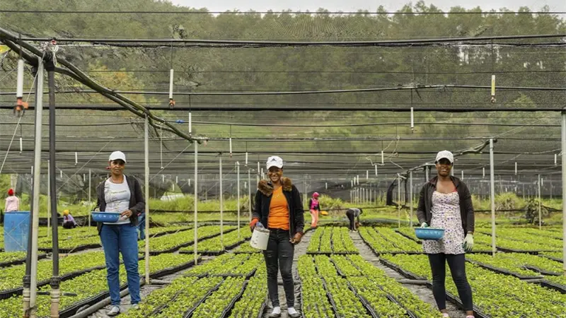 Sur Futuro celebra 24 años y anuncia el regreso del Premio Ecológico a la Siembra de Agua