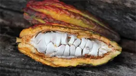 EE.UU. elimina arancel de 10 % a más de 100 productos de Perú, anuncia el Gobierno peruano