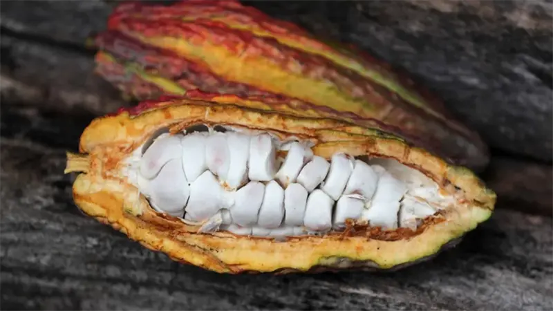 EE.UU. elimina arancel de 10 % a más de 100 productos de Perú, anuncia el Gobierno peruano