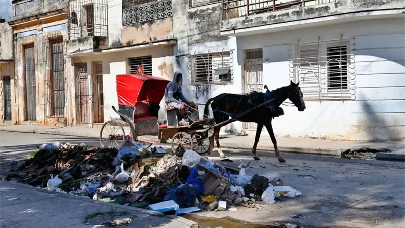 Cuba registra un promedio de 700 casos diarios de chikunguña en octubre, según la OPS