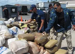 Decomisan en Puerto Rico 530 kilos de cocaína procedente de República Dominicana