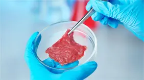 Hungría prohíbe la producción y venta de carne artificial, cultivada en laboratorio