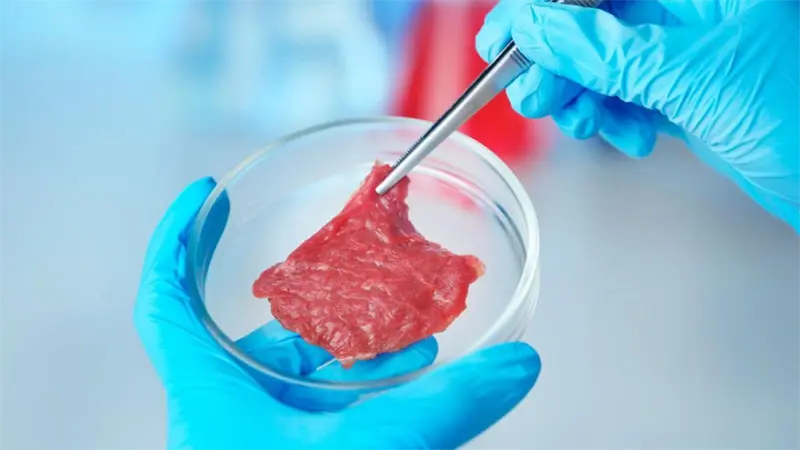 Hungría prohíbe la producción y venta de carne artificial, cultivada en laboratorio
