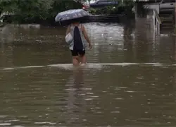 Ministerio de Salud confirma tres muertes por leptospirosis tras tormenta Melissa en el país