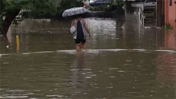 Ministerio de Salud confirma tres muertes por leptospirosis tras tormenta Melissa en el país