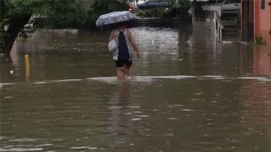 Ministerio de Salud confirma tres muertes por leptospirosis tras tormenta Melissa en el país