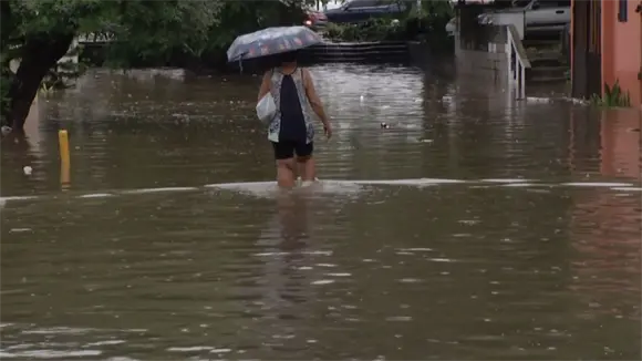 Ministerio de Salud confirma tres muertes por leptospirosis tras tormenta Melissa en el país Ministerio de Salud confirma tres muertes por leptospirosis tras tormenta Melissa en el país