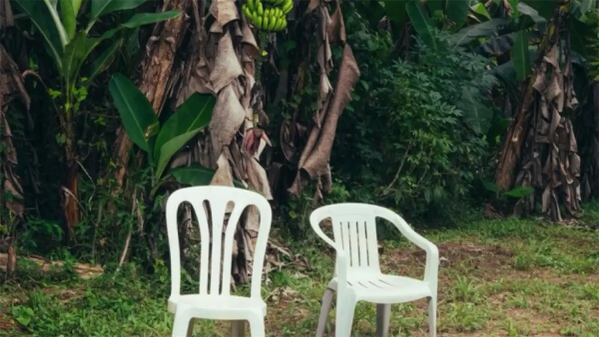 Fans desde Canadá y outfits destacados en concierto de Bad Bunny en Santo Domingo
