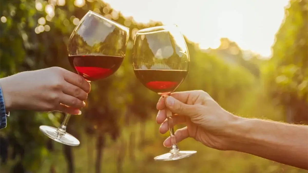 Día Mundial del Vino Tinto. Todo lo que tienes que saber sobre esta bebida.