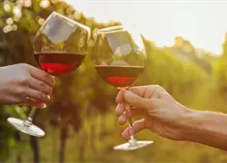 ¿Por qué hoy se celebra el Día Mundial del Vino Tinto?