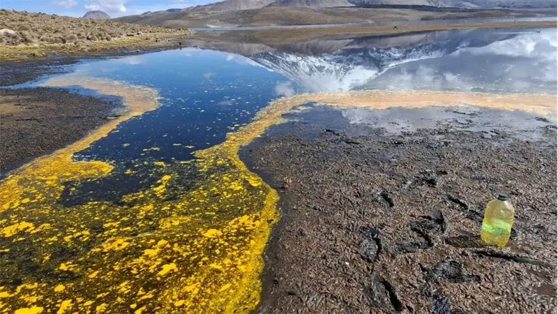 Derrame de aceite de soya en el Lago Chungará de Chile mata fauna protegida y amenaza aves