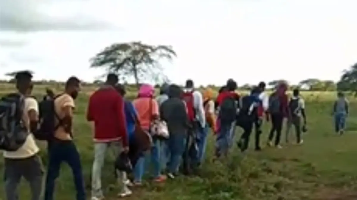 Detención haitianos indocumentados frontera dominicana.