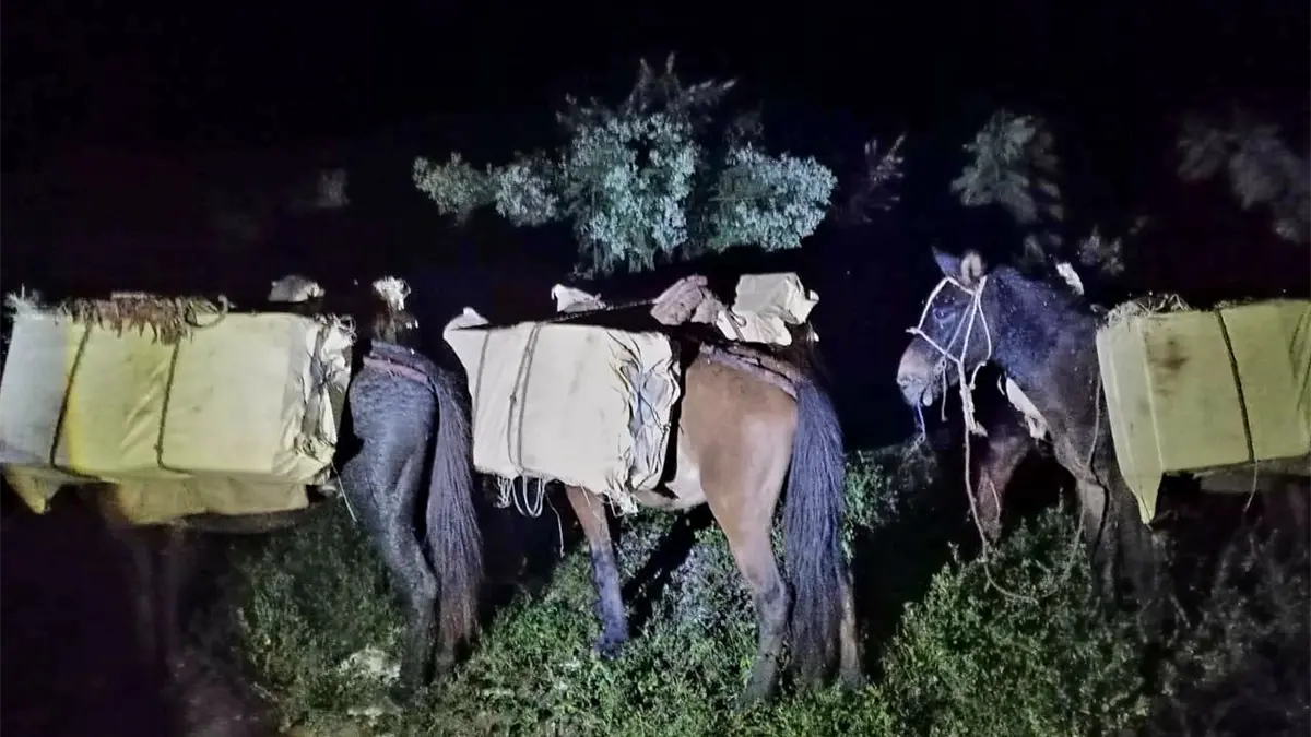 Ejército dominicano decomisa 320,000 cigarrillos de contrabando en Elías Piña