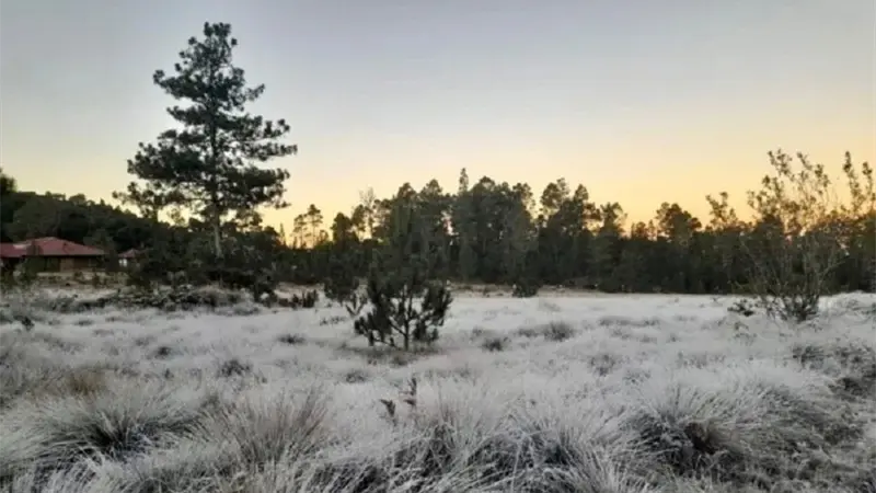 Frío intenso en la montaña: Valle Nuevo amanece a 1 °C