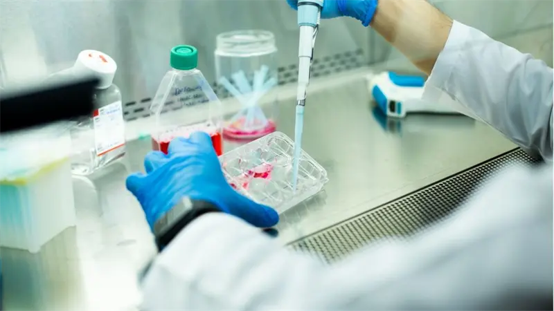 Una terapia experimental logra rejuvenecer las células madre de la sangre