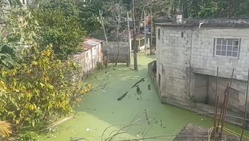Comunitarios de Villa Altagracia denuncian laguna de aguas negras y exigen intervención urgente