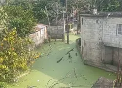 Comunitarios de Villa Altagracia denuncian laguna de aguas negras y exigen intervención urgente