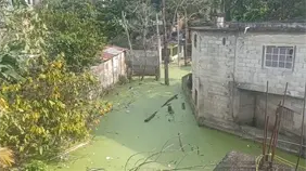 Comunitarios de Villa Altagracia denuncian laguna de aguas negras y exigen intervención urgente