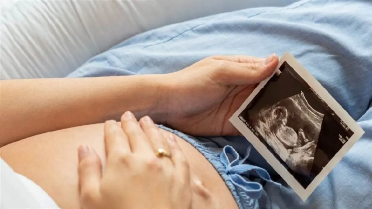 Identifican un proceso que permite al embrión tomar el control de su desarrollo