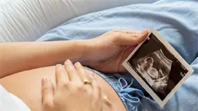 Identifican un proceso que permite al embrión tomar el control de su desarrollo