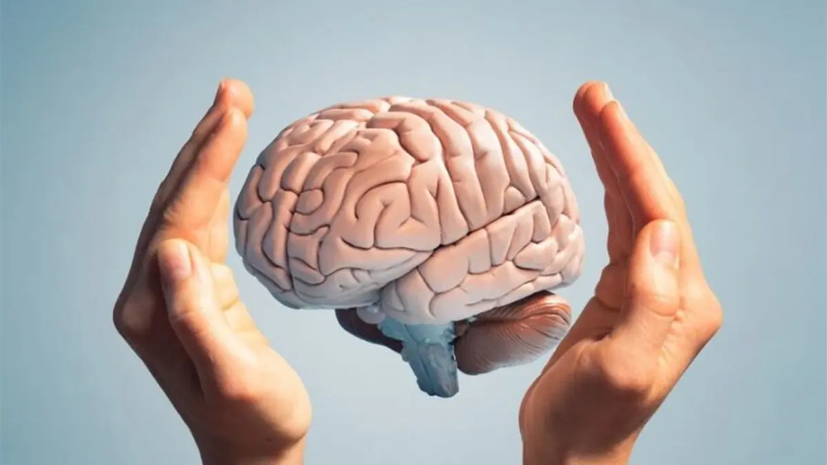 El cerebro pasa por 5 fases en la vida, que cambian a los 9, 32, 66 y 83 años