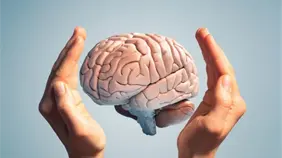 El cerebro pasa por 5 fases en la vida, que cambian a los 9, 32, 66 y 83 años