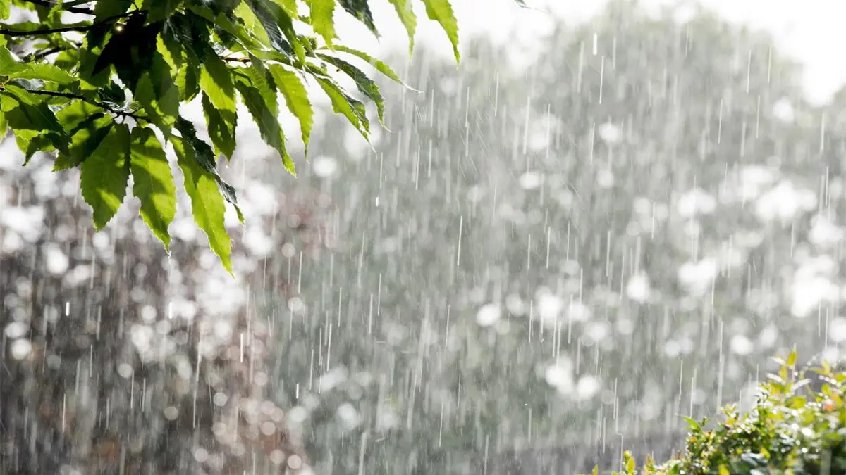 Chubascos dispersos y temperaturas frescas se prevén hasta el jueves en el país