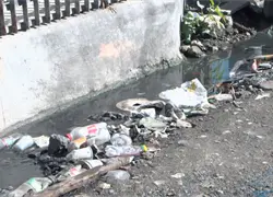 Crece temor por posible brote de dengue en barrios del Gran Santo Domingo