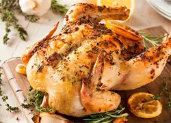 Sector avícola dominicano fortalece producción para satisfacer alta demanda de pollo en diciembre