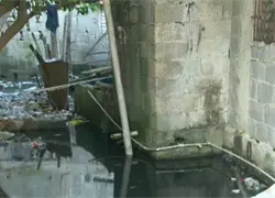 Residentes del sector Savica denuncian crisis sanitaria por basura y proliferaci&oacute;n de plagas