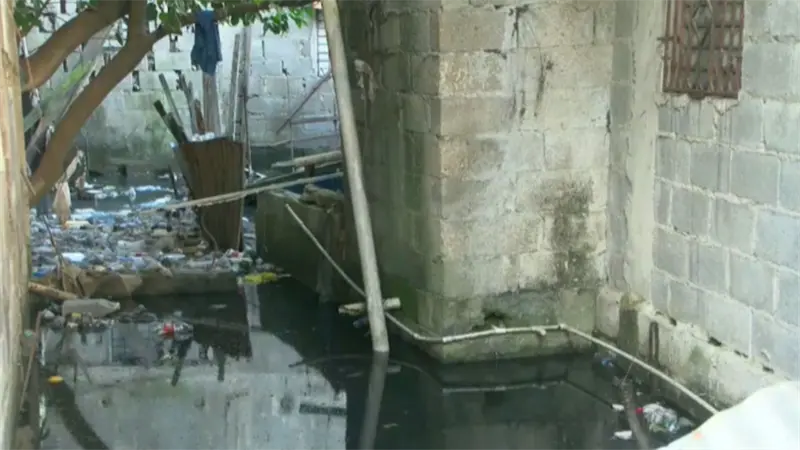 Residentes del sector Savica denuncian crisis sanitaria por basura y proliferación de plagas