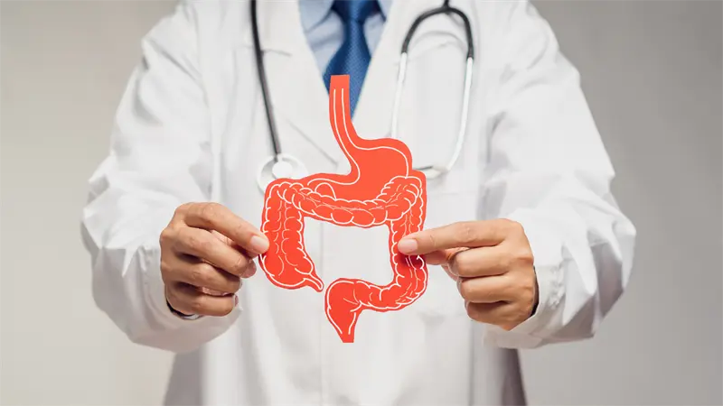 La microbiota intestinal: clave para la salud mental y el bienestar emocional