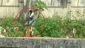 Imágenes fuertes: Leona mata a un hombre que entró a su recinto en un zoológico Imágenes fuertes: Leona mata a un hombre que entró a su recinto en un zoológico