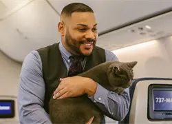 Un gatito perdido interrumpe demostración de seguridad en vuelo en aeropuerto local