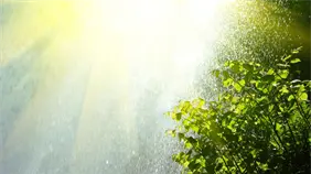 Indomet pronostica ambiente mayormente soleado y chubascos aislados por viento del noreste y débil vaguada