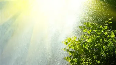 Indomet pronostica ambiente mayormente soleado y chubascos aislados por viento del noreste y débil vaguada