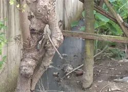 Vecinos denuncian calle Las Orqu&iacute;deas convertida en lodazal