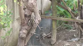 Vecinos denuncian calle Las Orquídeas convertida en lodazal