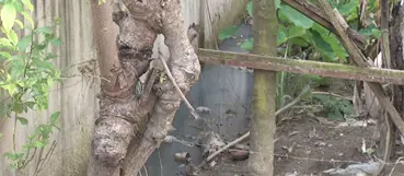 Vecinos denuncian calle Las Orquídeas convertida en lodazal