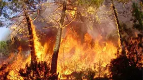 España registró sus mayores emisiones anuales de incendios forestales en 23 años en 2025