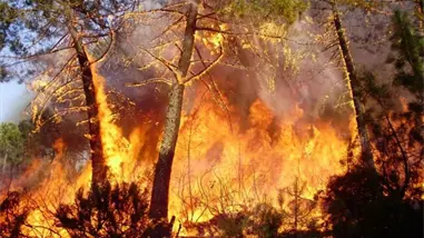 España registró sus mayores emisiones anuales de incendios forestales en 23 años en 2025